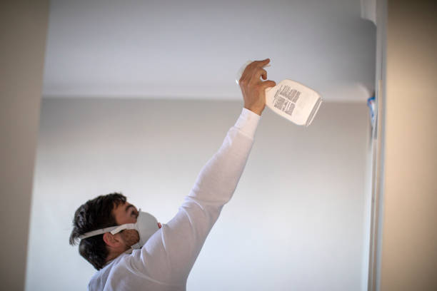 Office Mold Removal Services in Dayton, VA