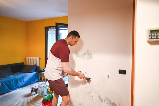 Best Mold Damage Repair  in Dayton, VA